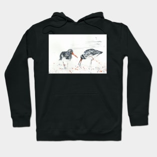 Oyster catchers Hoodie